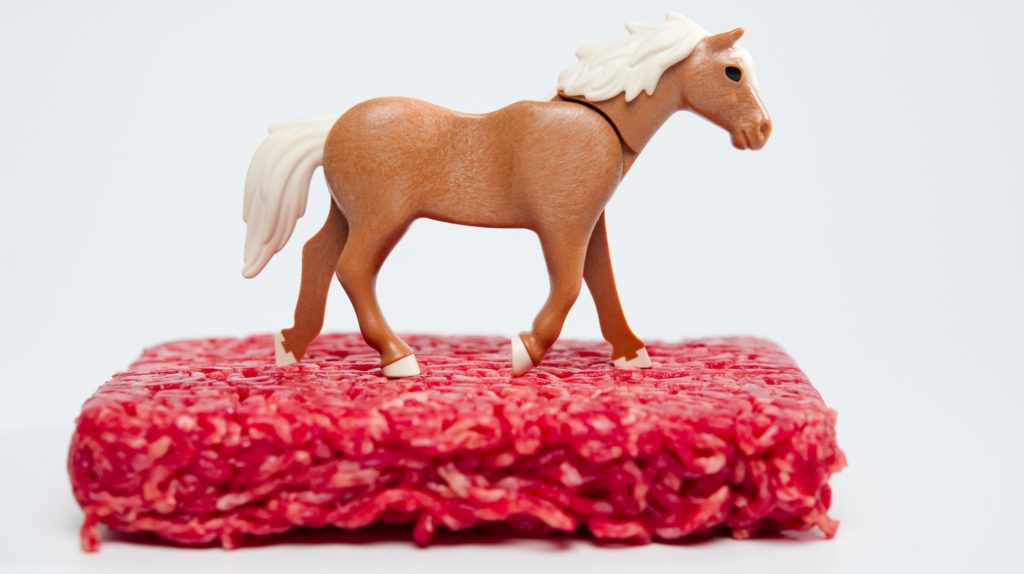 Findus : le scandale de la viande de cheval